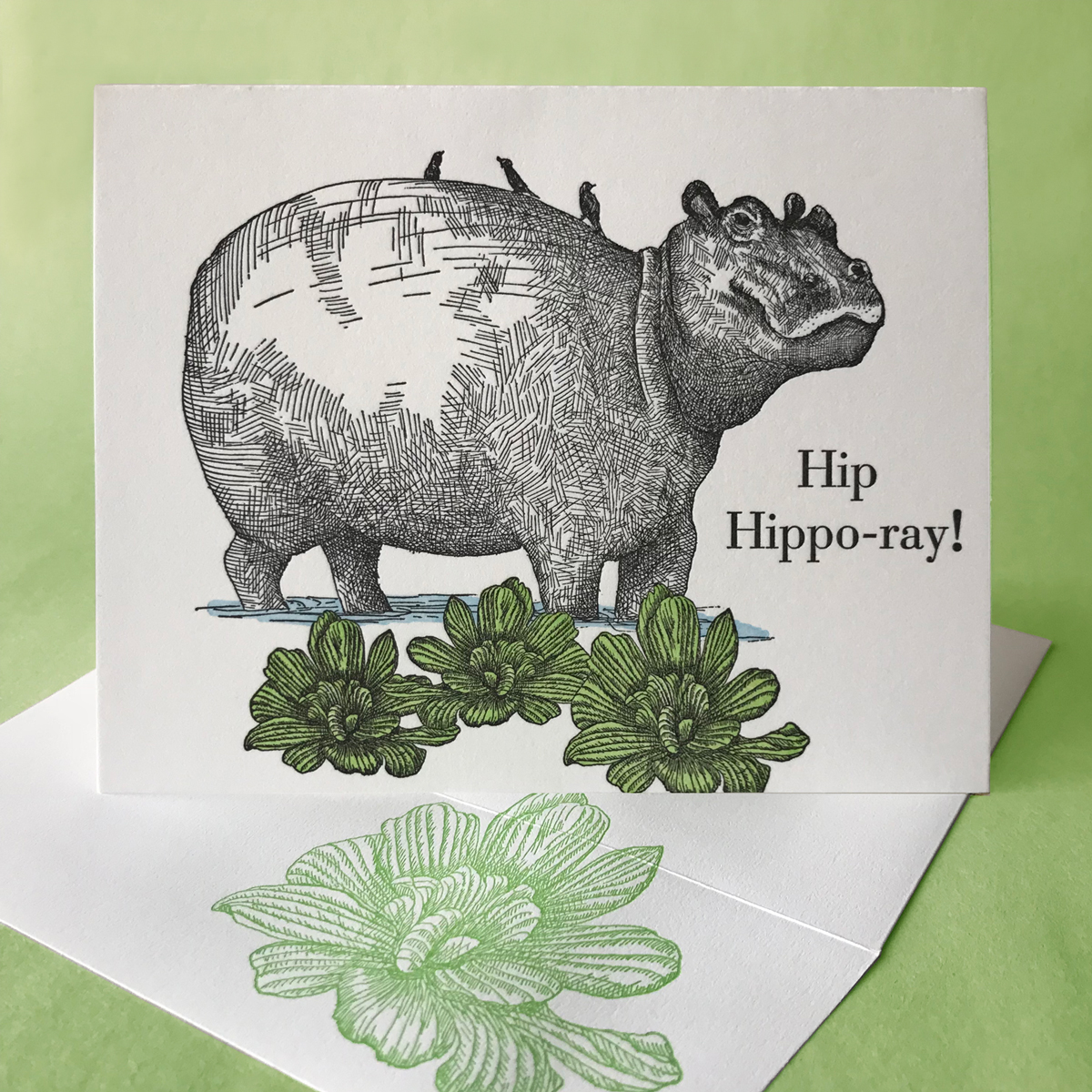 Water Lettuce with Hippo card