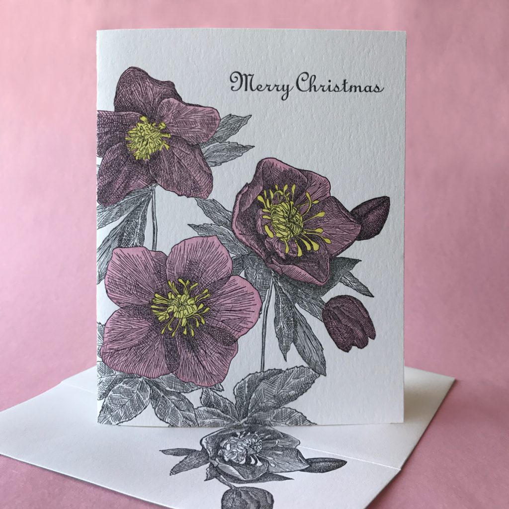 Christmas Rose card