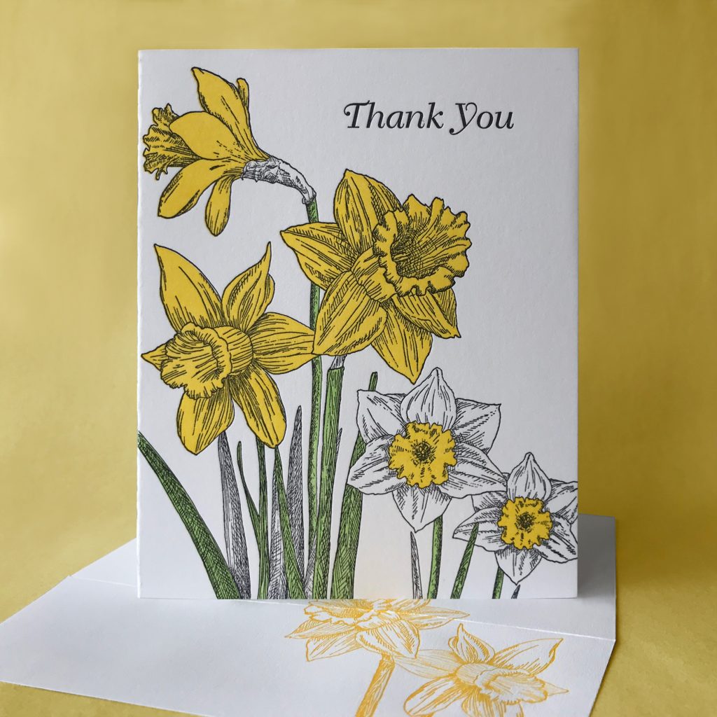 Daffodil Thank You card