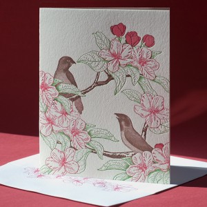 Apple Blossom Note Card