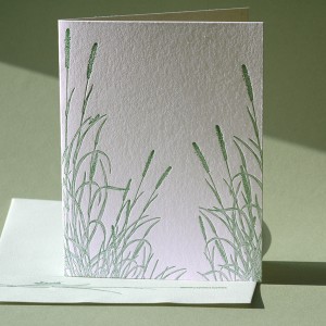 Timothy Grass Note