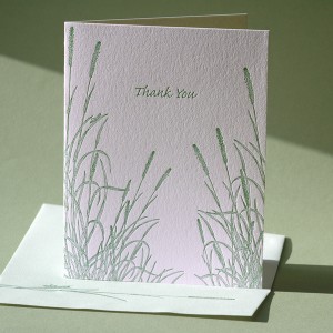 Timothy Grass Thank You Card