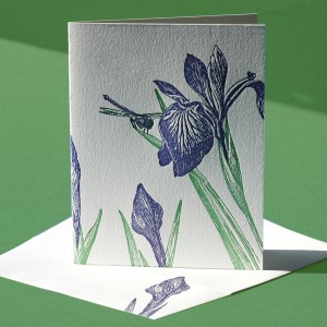 Iris Note Card