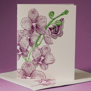 Moth Orchid Note Card