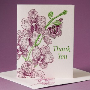 Moth Orchid Thank You Card