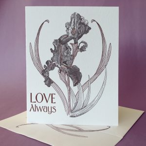 Black Iris Love Always