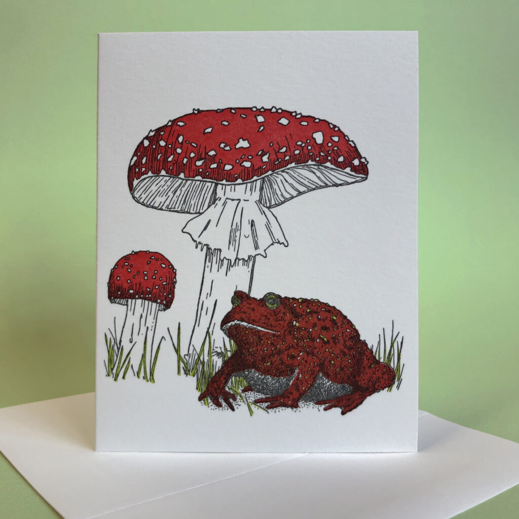 Greeting card shows fat brown toad with green warts sitting beneath a large redcap toadstool mushroom with smaller redcap mushroom beside it. There is no text on this card. 